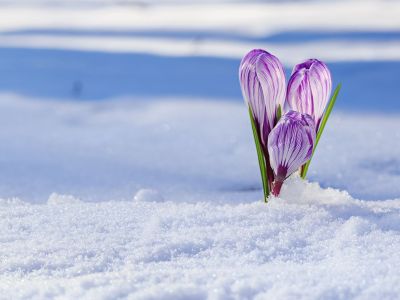 Διάβασε την προσωπική σου πρόβλεψη, για σήμερα 28/02/2026