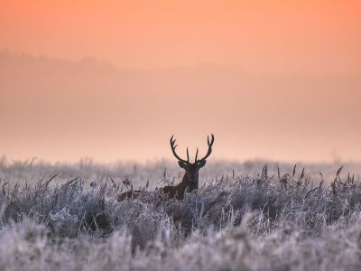 Διάβασε την προσωπική σου πρόβλεψη, για σήμερα 13/02/2026