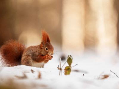 Διάβασε την προσωπική σου πρόβλεψη, για σήμερα 23/02/2026