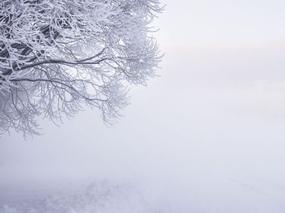 Διάβασε την προσωπική σου πρόβλεψη, για σήμερα 22/02/2026