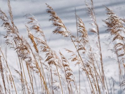 Διάβασε την προσωπική σου πρόβλεψη, για σήμερα 16/02/2026
