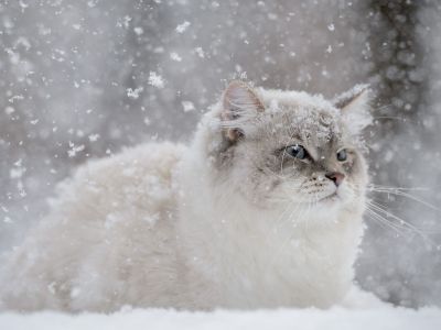 Διάβασε την προσωπική σου πρόβλεψη, για σήμερα 27/02/2026