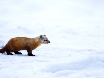 Διάβασε την προσωπική σου πρόβλεψη, για σήμερα 15/02/2026