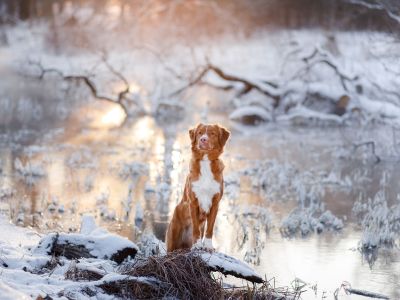 Διάβασε την προσωπική σου πρόβλεψη, για σήμερα 25/02/2026