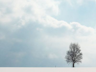 Διάβασε την προσωπική σου πρόβλεψη, για σήμερα 10/02/2026