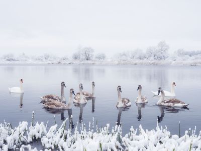 Διάβασε την προσωπική σου πρόβλεψη, για σήμερα 21/02/2026