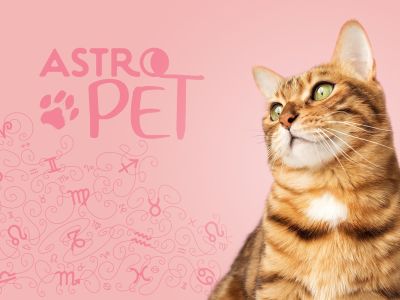 AstroPet από 24/02 έως 02/03: Εβδομαδιαίες προβλέψεις για το κατοικίδιό σου