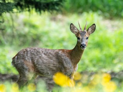 Διάβασε την προσωπική σου πρόβλεψη, για σήμερα 02/03/2026