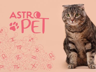 AstroPet από 03/03 έως 09/03: Εβδομαδιαίες προβλέψεις για το κατοικίδιό σου