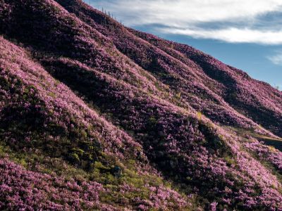 Διάβασε την προσωπική σου πρόβλεψη, για σήμερα 05/03/2026
