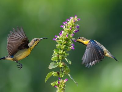 Διάβασε την προσωπική σου πρόβλεψη, για σήμερα 06/03/2026