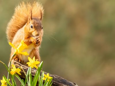 Διάβασε την προσωπική σου πρόβλεψη, για σήμερα 08/03/2026