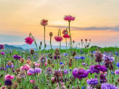 Διάβασε την προσωπική σου πρόβλεψη, για σήμερα 07/03/2026