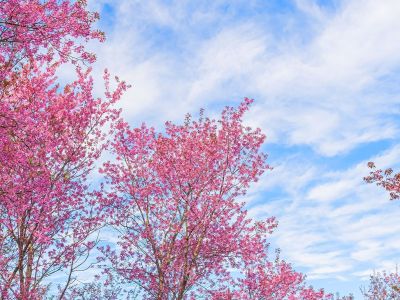 Διάβασε την προσωπική σου πρόβλεψη, για σήμερα 09/03/2026
