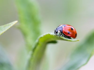 Διάβασε την προσωπική σου πρόβλεψη, για σήμερα 04/03/2026
