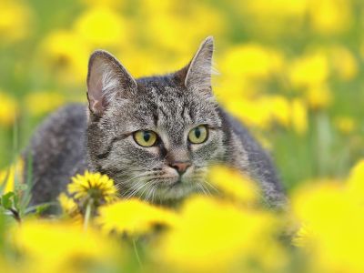 Διάβασε την προσωπική σου πρόβλεψη, για σήμερα 10/03/2026