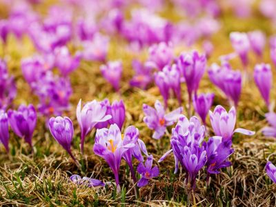 Διάβασε την προσωπική σου πρόβλεψη, για σήμερα 25/03/2026