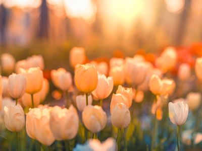 Διάβασε την προσωπική σου πρόβλεψη, για σήμερα 11/03/2026