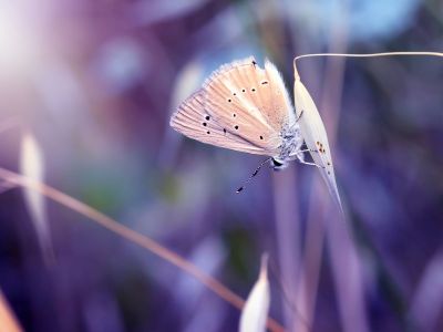 Διάβασε την προσωπική σου πρόβλεψη, για σήμερα 24/03/2026