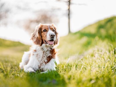 Διάβασε την προσωπική σου πρόβλεψη, για σήμερα 16/03/2026