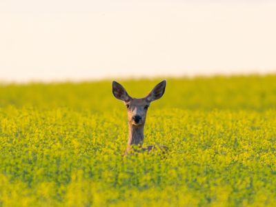 Διάβασε την προσωπική σου πρόβλεψη, για σήμερα 22/03/2026