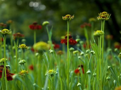 Διάβασε την προσωπική σου πρόβλεψη, για σήμερα 27/03/2026