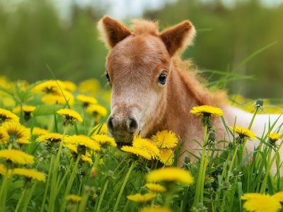 Διάβασε την προσωπική σου πρόβλεψη, για σήμερα 26/03/2026