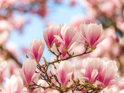 Διάβασε την προσωπική σου πρόβλεψη, για σήμερα 19/03/2026