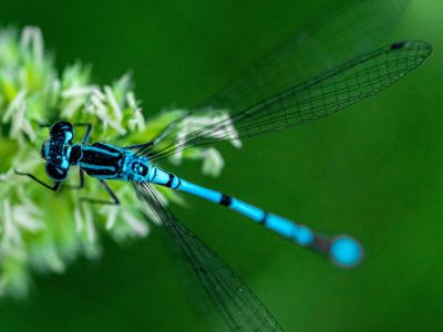Διάβασε την προσωπική σου πρόβλεψη, για σήμερα 20/03/2026