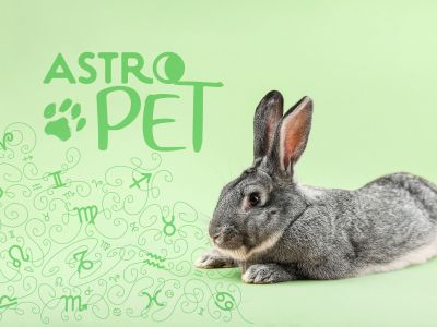 AstroPet από 10/03 έως 16/03: Εβδομαδιαίες προβλέψεις για το κατοικίδιό σου