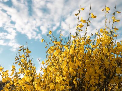 Διάβασε την προσωπική σου πρόβλεψη, για σήμερα 21/03/2026