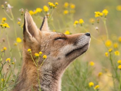 Διάβασε την προσωπική σου πρόβλεψη, για σήμερα 30/03/2026