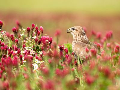 Διάβασε την προσωπική σου πρόβλεψη, για σήμερα 28/03/2026