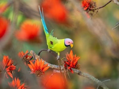 Διάβασε την προσωπική σου πρόβλεψη, για σήμερα 12/03/2026