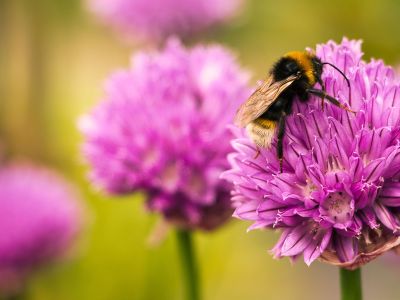 Διάβασε την προσωπική σου πρόβλεψη, για σήμερα 15/03/2026