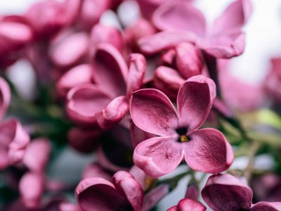 Διάβασε την προσωπική σου πρόβλεψη, για σήμερα 31/03/2026