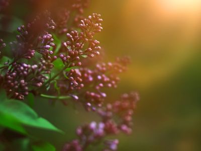 Διάβασε την προσωπική σου πρόβλεψη, για σήμερα 13/03/2026