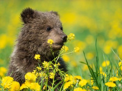 Διάβασε την προσωπική σου πρόβλεψη, για σήμερα 18/03/2026