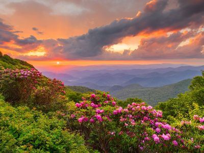 Διάβασε την προσωπική σου πρόβλεψη, για σήμερα 17/03/2026