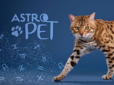 AstroPet από 31/03 έως 06/04: Εβδομαδιαίες προβλέψεις για το κατοικίδιό σου