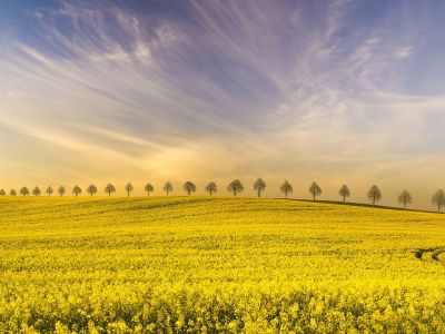 Απρίλιος 2026: Ποιοι πλανήτες επηρεάζουν τη ζωή σου;