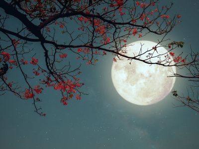 2 ζώδια θα εκτεθούν ή θα εκθέσουν πρόσωπα και καταστάσεις, σήμερα 02/04 – Δες, αν είσαι μέσα!