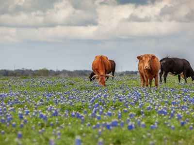 Διάβασε την προσωπική σου πρόβλεψη, για σήμερα 06/04/2026