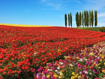 Διάβασε την προσωπική σου πρόβλεψη, για σήμερα 01/04/2026
