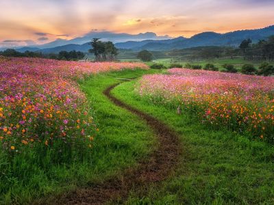 Διάβασε την προσωπική σου πρόβλεψη, για σήμερα 09/04/2026