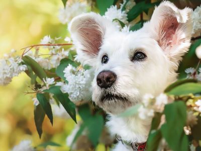 Διάβασε την προσωπική σου πρόβλεψη, για σήμερα 08/04/2026