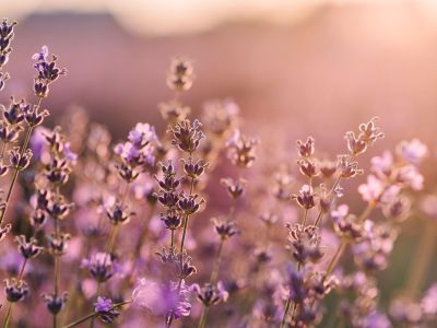 Διάβασε την προσωπική σου πρόβλεψη, για σήμερα 03/04/2026