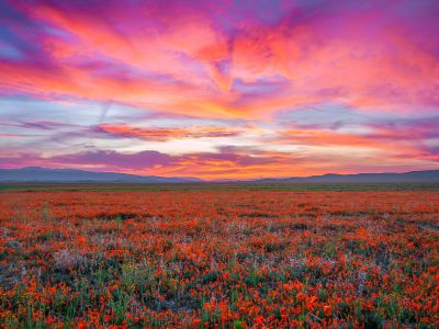 Διάβασε την προσωπική σου πρόβλεψη, για σήμερα 07/04/2026