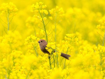 Διάβασε την προσωπική σου πρόβλεψη, για σήμερα 04/04/2026