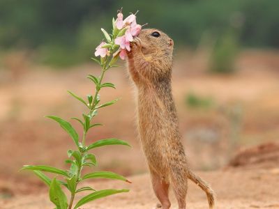 Διάβασε την προσωπική σου πρόβλεψη, για σήμερα 10/04/2026